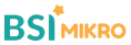 BSI Mikro